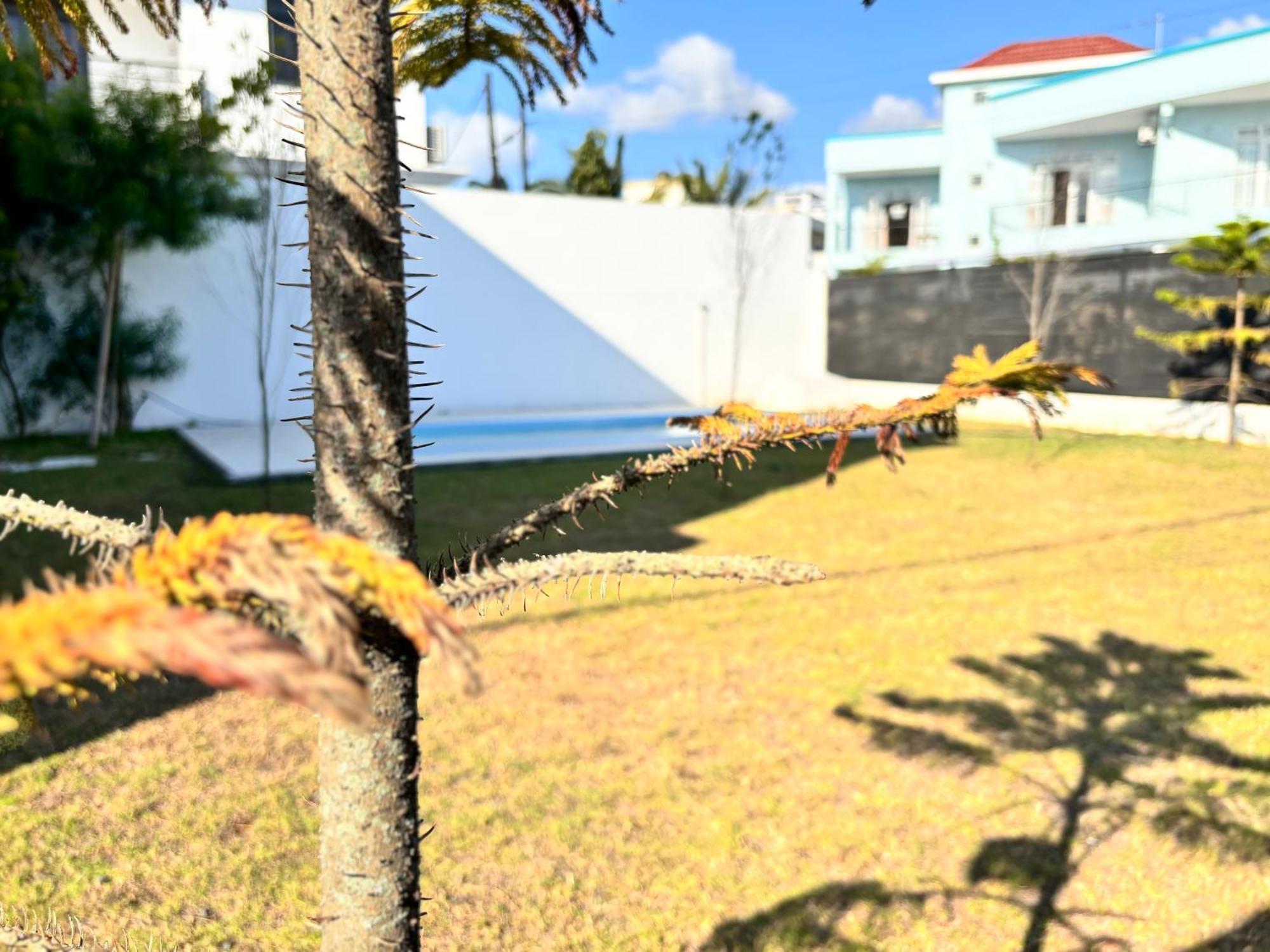 Maison Mont Choisy - One Or Two Bedrooms